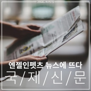 [엔젤인펫츠뉴스]엔젤인펫츠 IN 국제신문